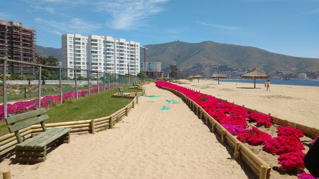 Апартаменты Departamento En Папудо Экстерьер фото